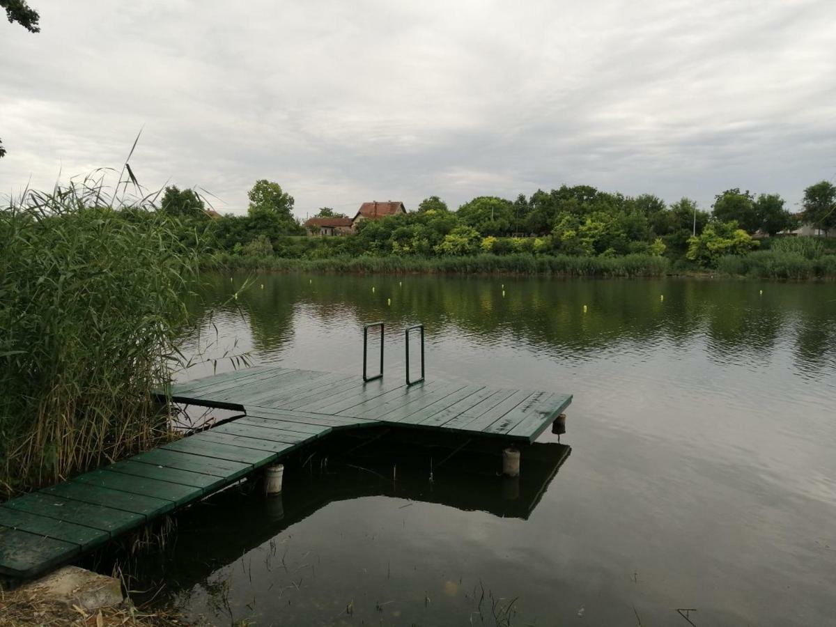 Villa Oaza Kuca Za Odmor à Curug Extérieur photo